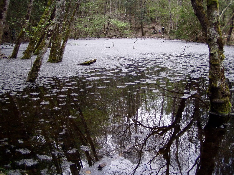 Valle del Farma e Stagno della Troscia: luoghi meravigliosi!